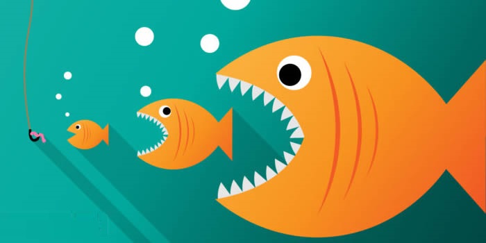 کنیبالیزیشن