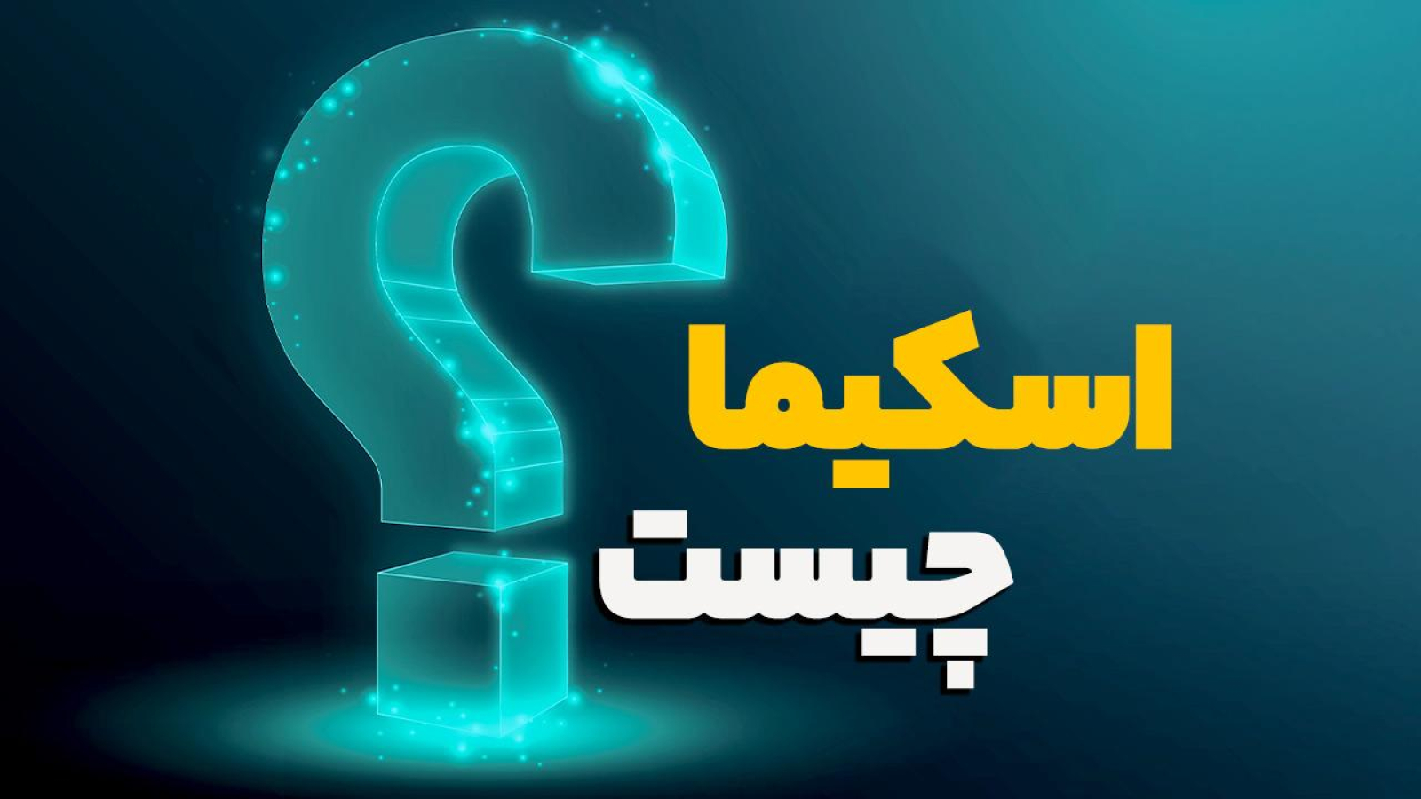 منظور از کدهای اسکیما چیست