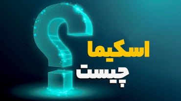 منظور از کدهای اسکیما چیست